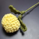 뽀댕뽀댕 이미지