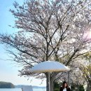 창리 쉼터 이미지