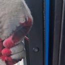 유성대로4 이미지