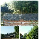 남도버스 이미지