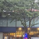 OB맥주 | [을지로 / 을지OB베어] 을지로 원조 맥주 맛집 내돈내산 솔직후기