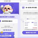 제주아이브 이미지