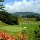 알펜시아 700 골프클럽 이미지