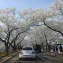 강변길 서천 이미지