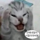 신참떡볶이동산점 | 중간을 견디는 힘