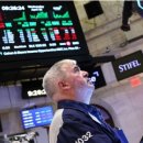 개미통신 이미지