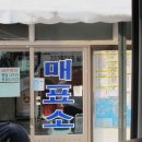터미날낚시 이미지