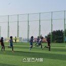 삼척복합체육공원 축구장 이미지