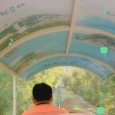 광산구-054 | 영천 보현산댐 짚와이어 출렁다리 짚라인 예매 가격 대구 근교 나들이