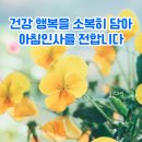 토요일 이미지