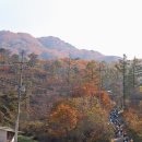모범MTB 헤럴드경제
