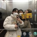 협재마당 이미지