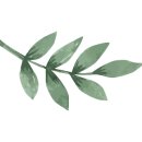 라미엔브라이드