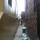 서구-01-100 이미지