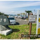 협동조합 악양곶간 | 핑크뮬리 보러 함안악양생태공원에 다녀왔습니다.