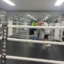 판교더복싱 이미지