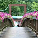 대전광역시인재개발원 이미지