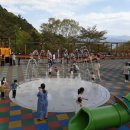 대나무랜드 이미지