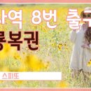 황룡복권 이미지