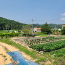 추부농장 이미지