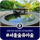 [서울숲 유아숲체험장] 성동구 여름숲체험장 놀이시설 총정리 (2025)