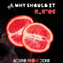 어스베이프 이미지