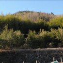 남해-216 이미지