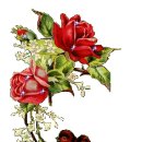 복지리세탁소 이미지