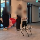 청곡초등학교 앞 이미지