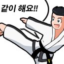 용인대타이곤태권도 이미지