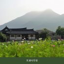 모과집민박
