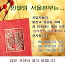 인셀덤 노블레스