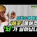 치매, 불면, 두통, 이명 &#39;이곳&#39;을 풀면 뇌가 살아납니다! | ft 부부한의사 이미지