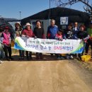 태양농장 이미지