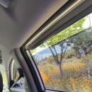 럭키카정비 이미지