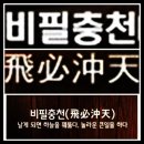 비필충천(飛必沖天) 이미지