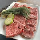 초광로 | 하남 애견동반 한우 소고기 맛집 외딴집 후기