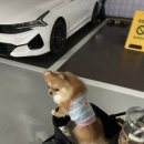 네일앤초이