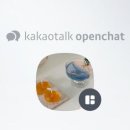 대구성당초등학교 이미지