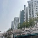 2026 domin.shop 두민샵 플리마켓 첫날 방문 후기(가는길, 웨이팅, 품목)
