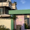 뚱슈헤나 이미지