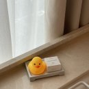 천안문 수타면 | 베이징 여행 (베이징 맛집 추천 / 와그 투어 솔직 후기)