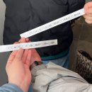 봄 너머 여름
