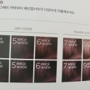 에이치에스그린 이미지
