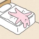 천경대키즈풀빌라1 | 청주 천경대키즈풀빌라 내돈내산 후기