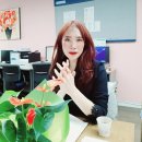 헤라결혼정보 이미지