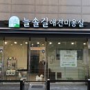 늘솔길애견미용실 이미지
