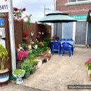 물파랑독채민박 이미지