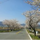 [외부]서각 이미지