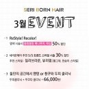 헤어 봄봄봄